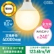 LED�ŵ�ܡ����ŵ��E26 100������ G95�ŵ忧��LDG11L AG6 06-5531