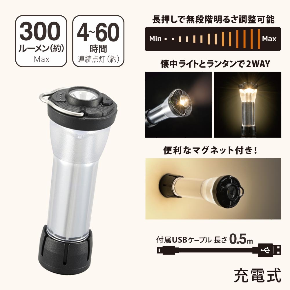 ���ż�LED�ߥ˥�󥿥��LN-CH300-LK 08-1051