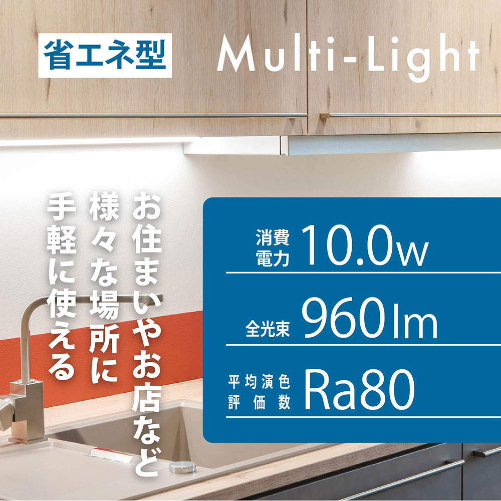 Ϣ����LED�����֥饤�ȥ����¿��Ū�� ����� 10W 558mm��LT-NLES10D-HL 06-4036