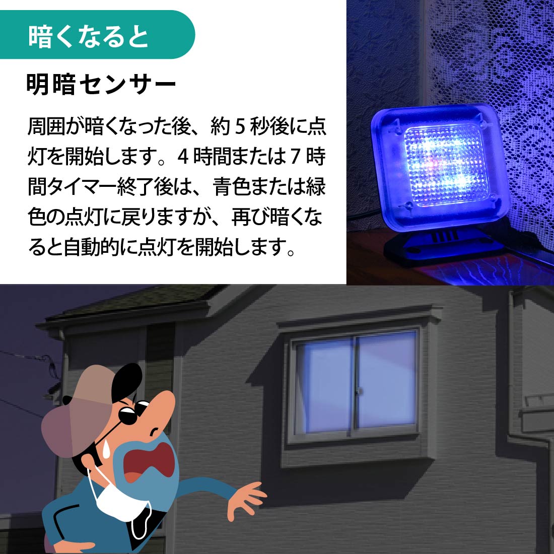 monban եTV饤ȡNIT-ASY8RGB10 06-5250