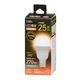 LED�ŵ微�� E17 25������ Ĵ�����б� �ŵ忧��LDA2L-G-E17/D AG5 06-5488