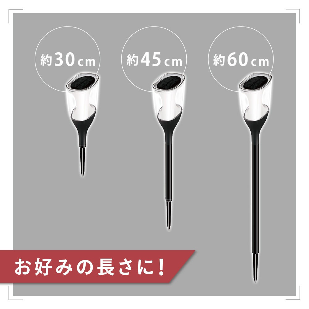 �������٤륬���ǥ�饤�� �����顼����LT-SYL1DW 06-5221