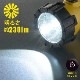 LEDץƥ饤 ECLAT 230롼LHP-P21D7 08-0920