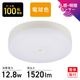 ���󥵡��եߥ�LED������󥰥饤�� 100�� 1520�롼��� �ŵ忧��LE-Y13LG-PIR 06-5635