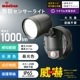 monban ȥ󥵡饤 1ོӼ 1000롼LS-B100Y1 07-8811