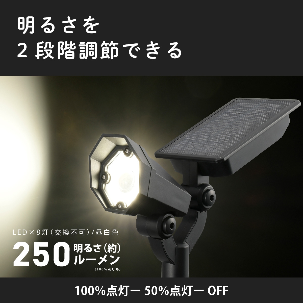 �����顼�����ǥ�饤�� ���š��ʹ����󥵡� 250�롼����LS-B250JGS-S 06-4156