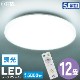 LED󥰥饤 12 Ĵ  ⥳դLE-Y45DBG-W5 06-5597