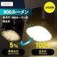 ����Ĵ�����󥵡���������饤�� �����顼����LT-S90ST9-K 06-5210