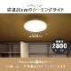 LED������󥰥饤�� 2��6���� �ŵ忧��LE-Y26GS-WL 06-5053