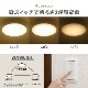 LED������󥰥饤�� 2��6���� �ŵ忧��LE-Y26GS-WL 06-5053