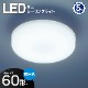 LED�ߥ˥�����󥰥饤�� 60�� 840�롼��� �������LE-Y7B-WD 06-5061