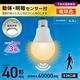 LED�ŵ� E26 40������ ư�Ρ����ť��󥵡��� �ŵ忧��LDA4L-G-MW 06-5581