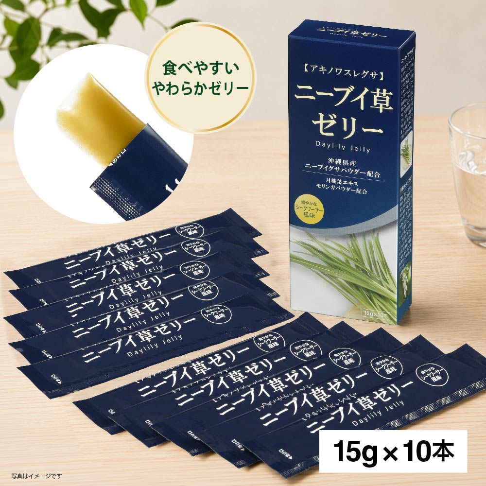 �ˡ��֥��𥼥꡼ �������������̣ 10������WN-NIIBUIZ1 08-2004
