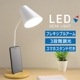 LED�ǥ����饤�ȡ�DS-LS24N-WN 06-3850