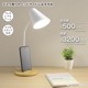 LED�ǥ����饤�ȡ�DS-LS24N-WN 06-3850