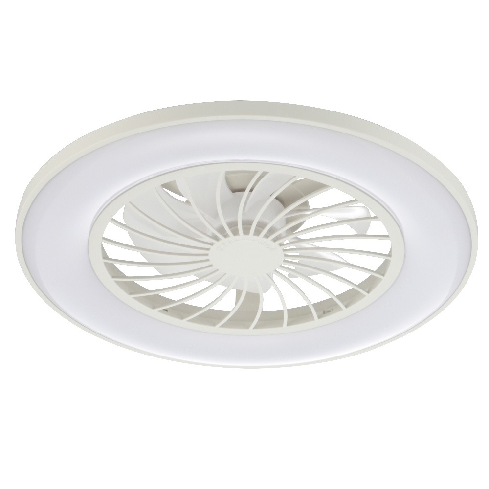 �ե����դ�LED������󥰥饤�� 12���� Ĵ��Ĵ�� ���LE-YF49T12Y-W 06-5248