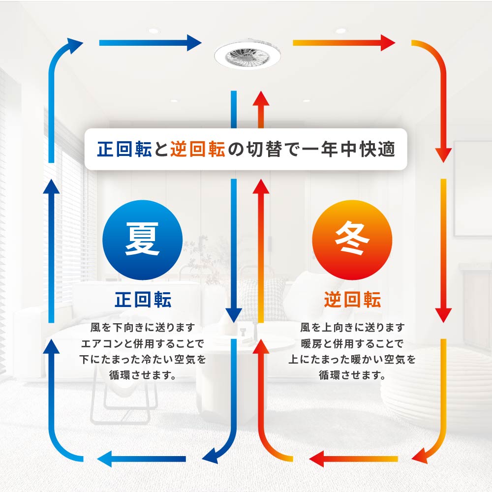 �ե����դ�LED������󥰥饤�� 12���� Ĵ��Ĵ�� ���LE-YF49T12Y-W 06-5248