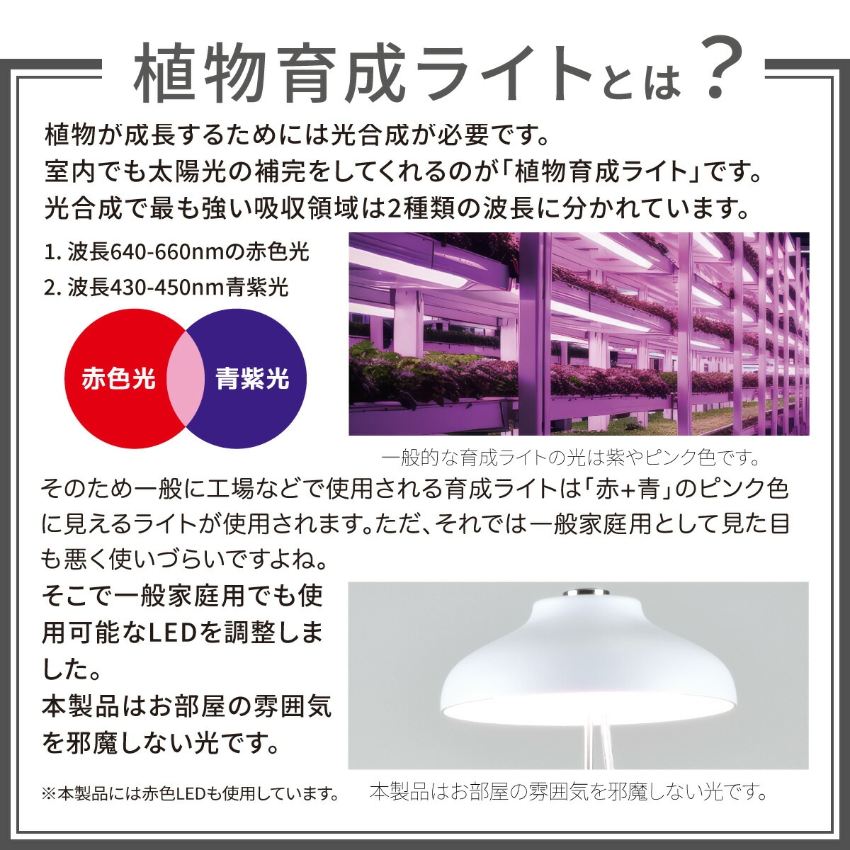 ʪ饤 ߼TT-YG01NA1A-W 06-5237