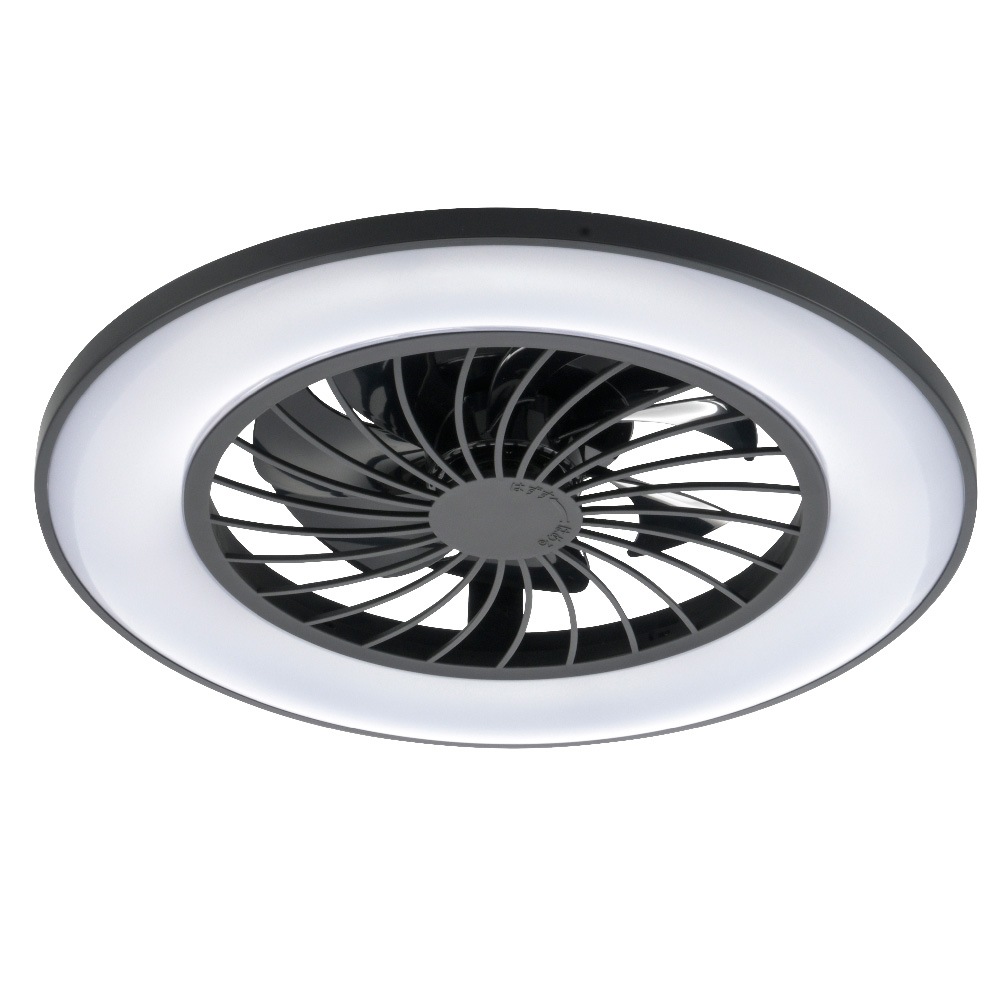 �ե����դ�LED������󥰥饤�� 12���� Ĵ��Ĵ�� ����LE-YF49T12Y-K 06-5249