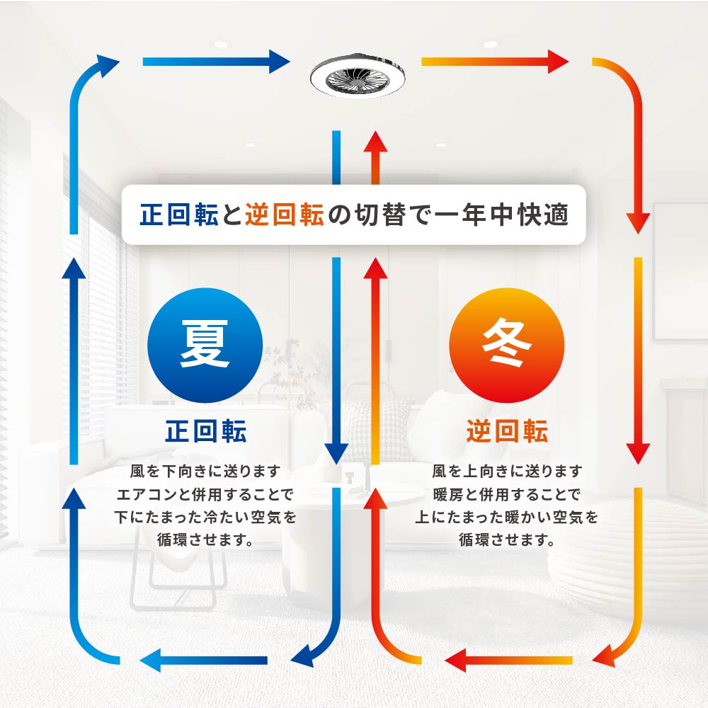 �ե����դ�LED������󥰥饤�� 12���� Ĵ��Ĵ�� ����LE-YF49T12Y-K 06-5249