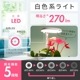 ʪ饤 ץ󥿡å׼TT-YG02NA1A-W 06-5238