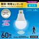 LED�ŵ� E26 60������ ư�Ρ����ť��󥵡��� �������LDA7D-G-MW 06-5584