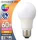 LED�ŵ� E26 60������ �ŵ忧��LDA8L-G AG6/RA93 06-3861