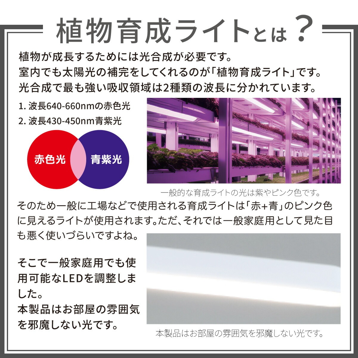 ʪ饤 å׼TT-YG03N1A-W 06-5239