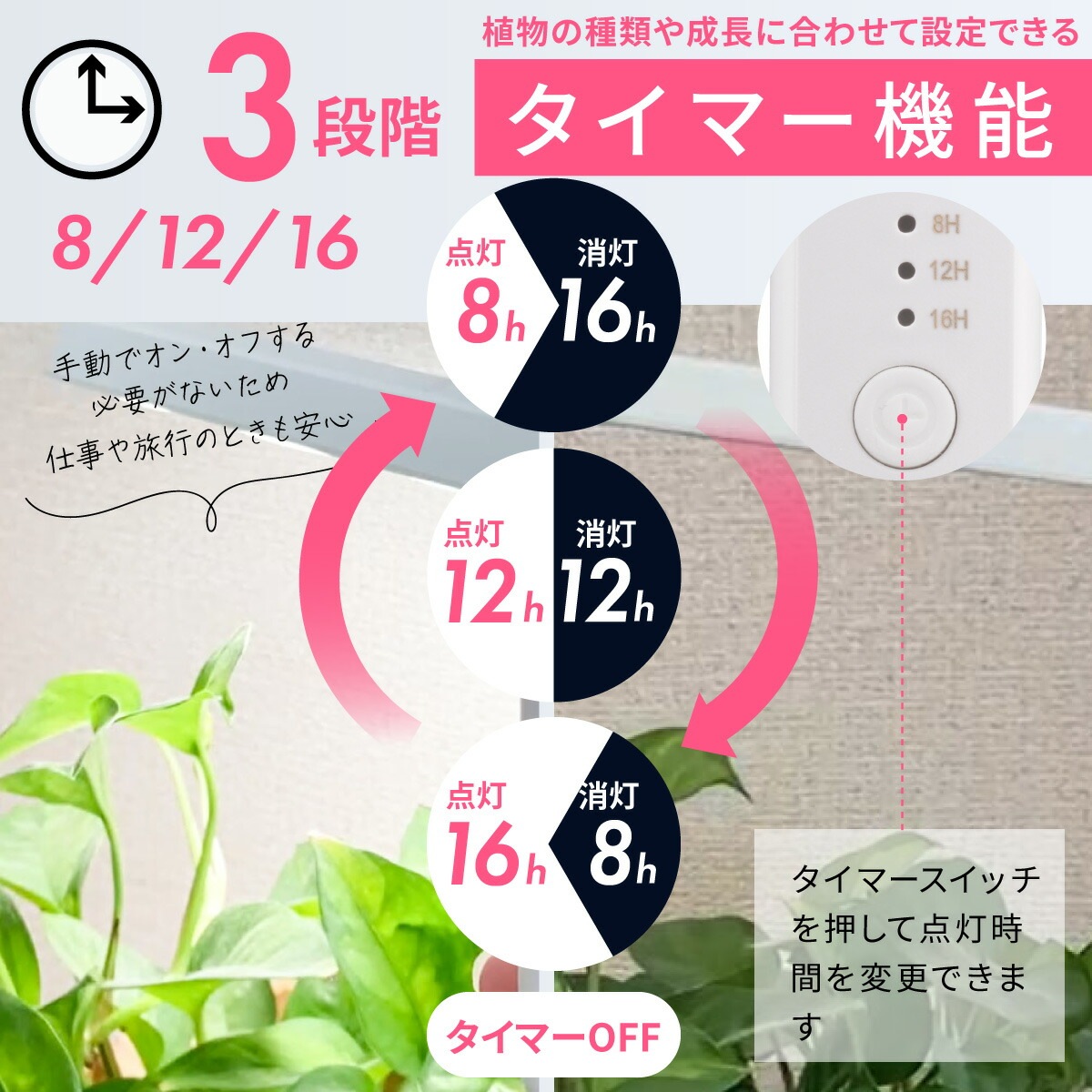 ʪ饤 å׼TT-YG03N1A-W 06-5239