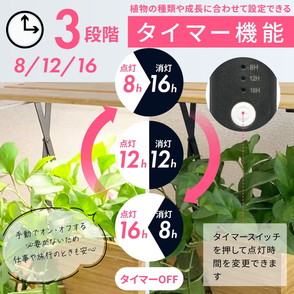 ��ʪ�����饤�� �ޤ���߼���TT-YG05N1A-M 06-5241