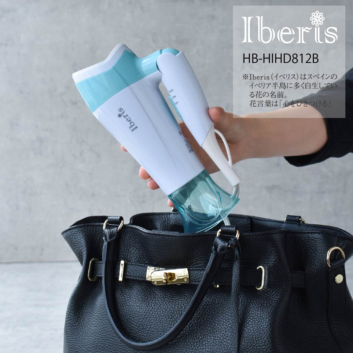 Iberis̥إɥ饤䡼HB-HIHD812B 00-5876