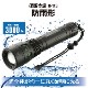 LED������饤�� ��ǥ�����Z�ץ� 3000�롼����LHA-Z300B5 08-1506