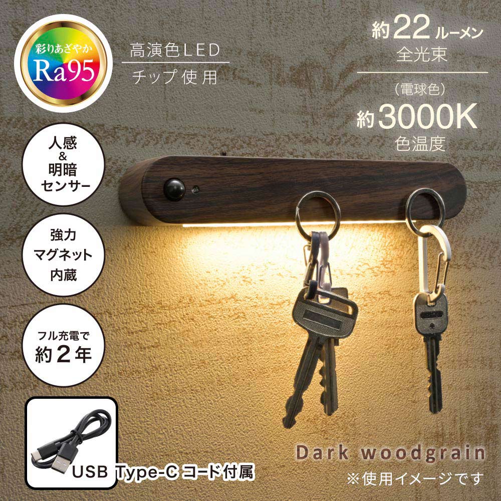 LED�ʥ��ȥ饤�� �ʹ������ť��󥵡��դ� ǻ������Ĵ��NIT-BK06-K 06-3812