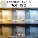 LED�����ץ饤�� Ĵ����Ĵ����AS-LE94BG-W1 06-3897
