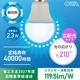 LED�ŵ微��E17 25������ ����� 2������LDA2D-G-E17 AG62P 06-5538