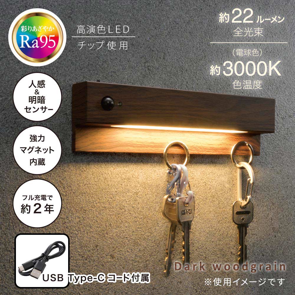 LED�ʥ��ȥ饤�� �ʹ������ť��󥵡��դ� ǻ������Ĵ��NIT-BK10-K 06-3814