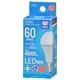 LED�ŵ微��E17 60������ �������LDA6D-G-E17 AG6 06-5547
