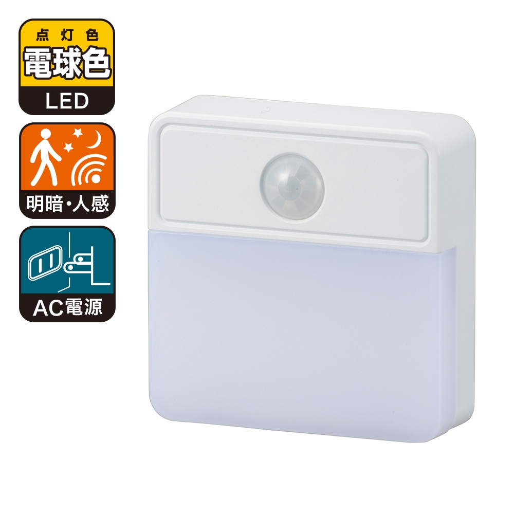 ���š��ʹ����󥵡����ʥ��ȥ饤�� �����ܥǥ��� �ŵ忧��NIT-ALA6JSQ2-WL 06-0714