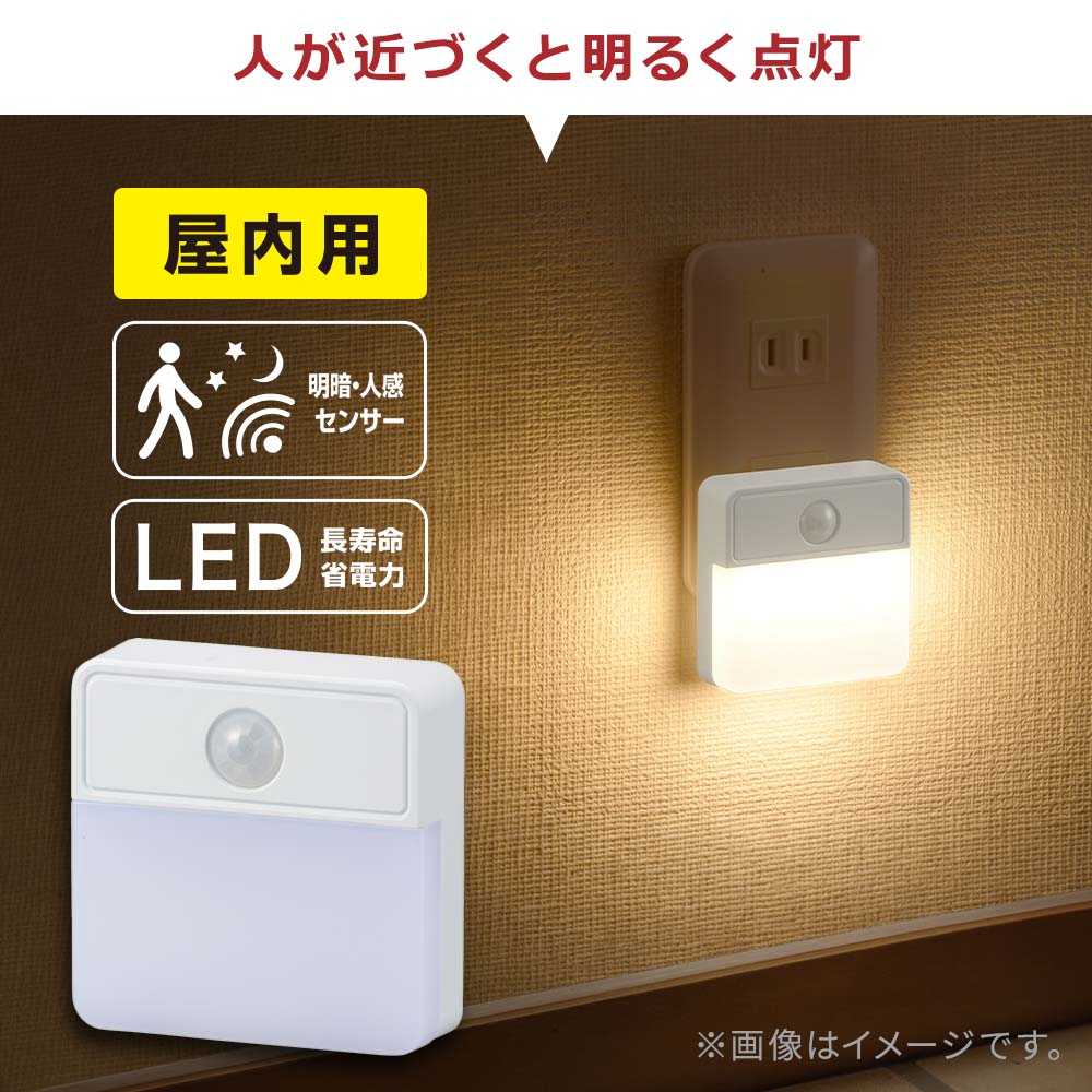 ���š��ʹ����󥵡����ʥ��ȥ饤�� �����ܥǥ��� �ŵ忧��NIT-ALA6JSQ2-WL 06-0714