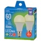 LED�ŵ微��E17 60������ ���� 2������LDA6N-G-E17 AG62P 06-5549