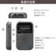 AudioComm 2�Х�ɥݥ��åȥ饸�� ���졼��RAD-P127N-H 03-7252