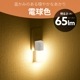 �����å����ʥ��ȥ饤�� �ŵ忧��NIT-ALA6PCL2-WL 06-5151