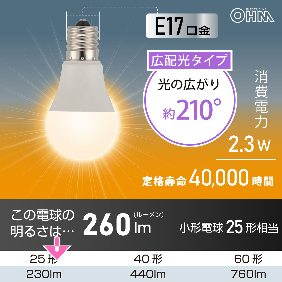 LEDŵ微E17 25 ŵ忧 2LDA2L-G-E17 RA 2P 06-5554