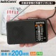 AudioComm �����ߥʥϥ�ǥ��饸����RAD-H260N 03-5530