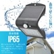 󥵡饤 顼 200롼LT-SBF22DW 06-5212