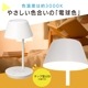LED����ƥꥢ�饤�� �磻��쥹���ŵ�ǽ�� �ۥ磻�ȡ�TT-YOLK1-W 06-1948