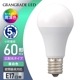 LED�ŵ微��E17 60������ ���򿧡�LDA6N-G-E17 RA 06-5564