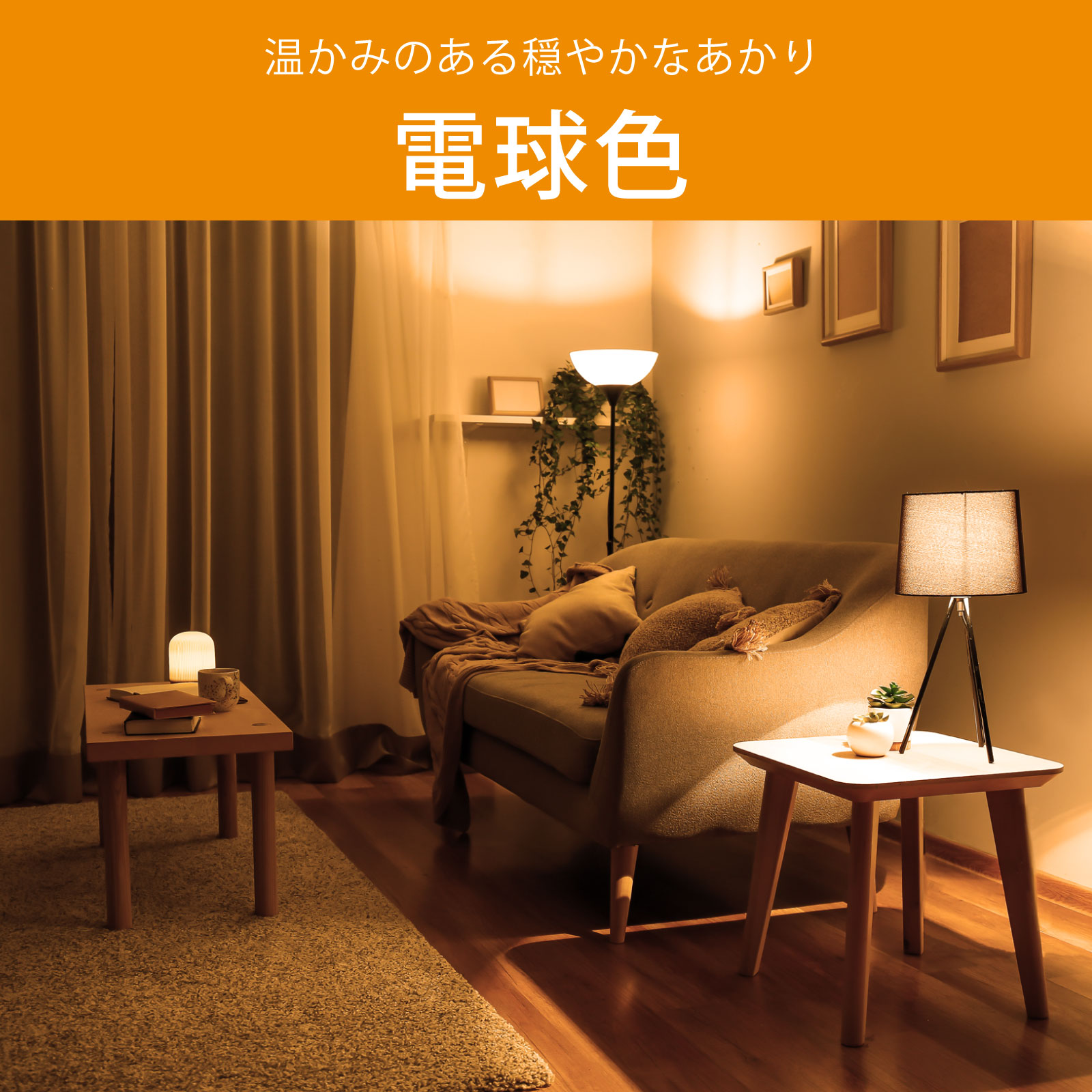 LED�ŵ微��E17 60������ �ŵ忧 2������LDA6L-G-E17 RA 2P 06-5566