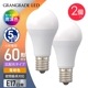 LED�ŵ微��E17 60������ �ŵ忧 2������LDA6L-G-E17 RA 2P 06-5566