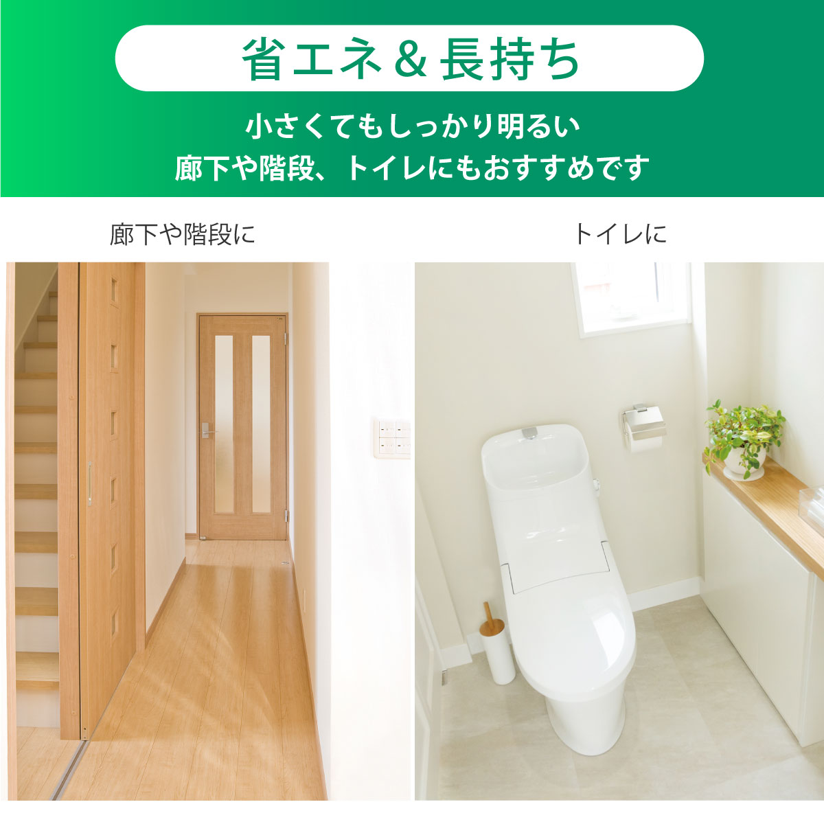 LED�ߥ˥�����󥰥饤�� 60�� 960�롼��� �������LE-Y9DG-W 06-5504